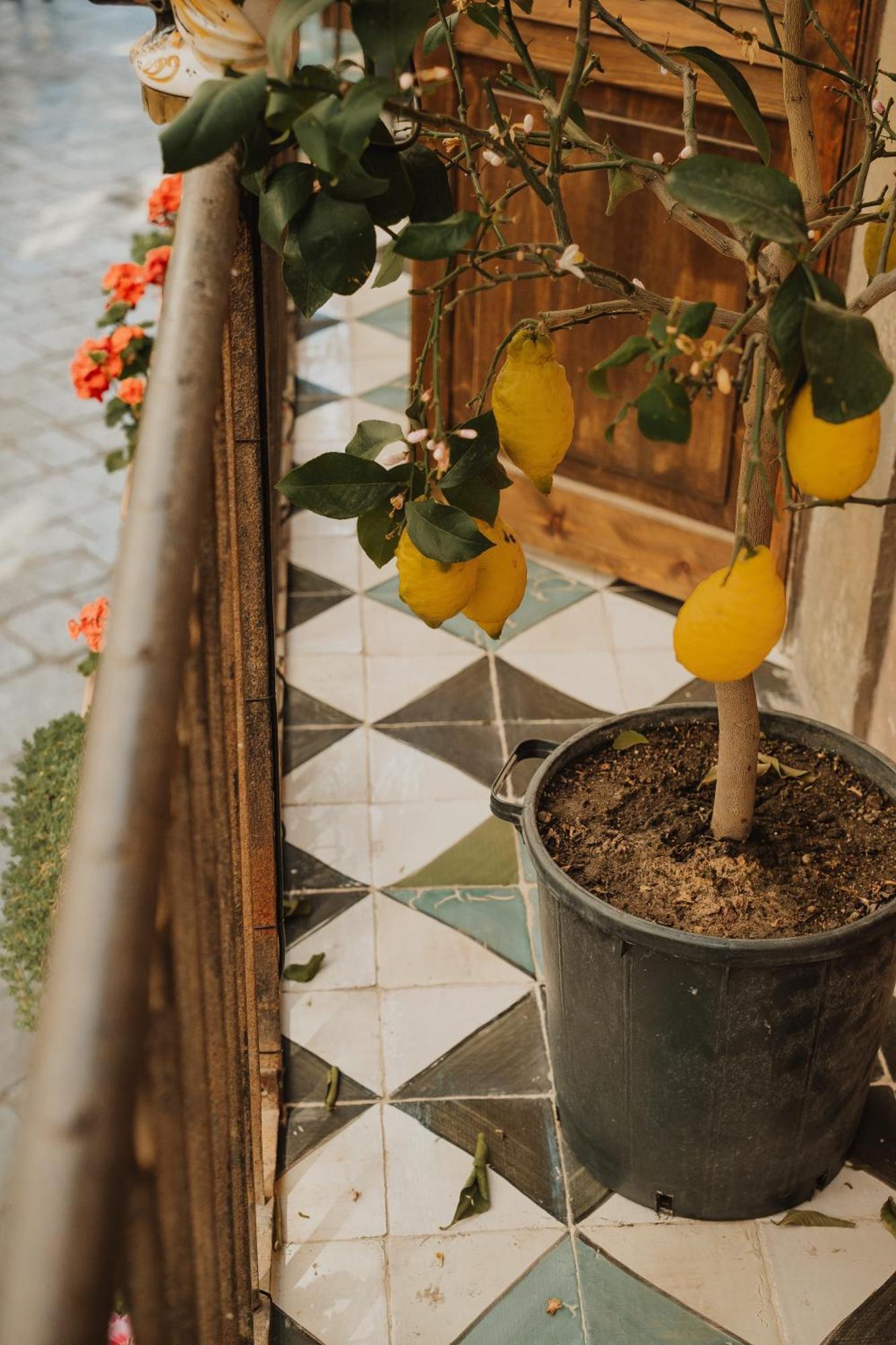 Santuzza Maison De Charme Otel Palermo Dış mekan fotoğraf